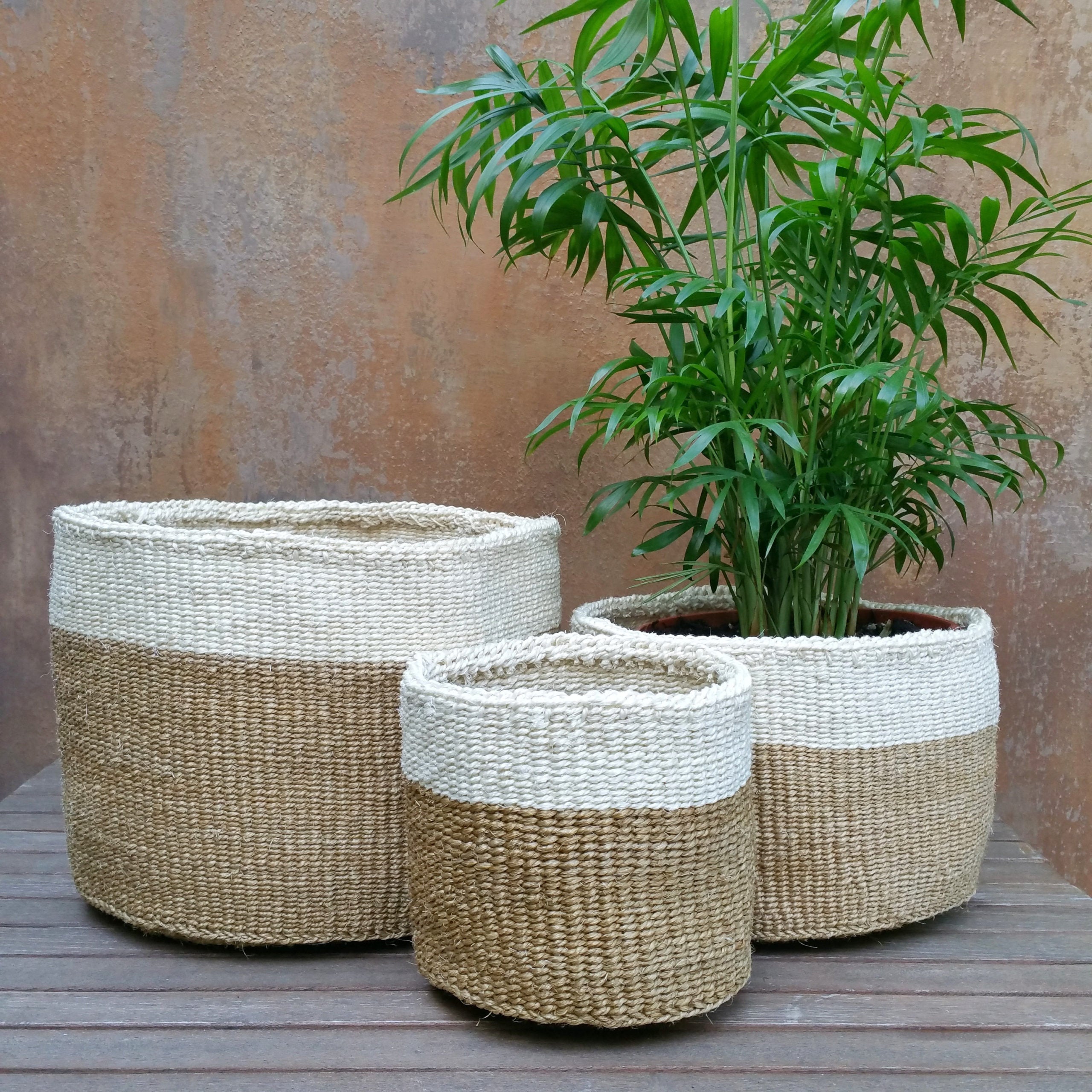 Planting Handwoven Basket
