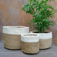Planting Handwoven Basket