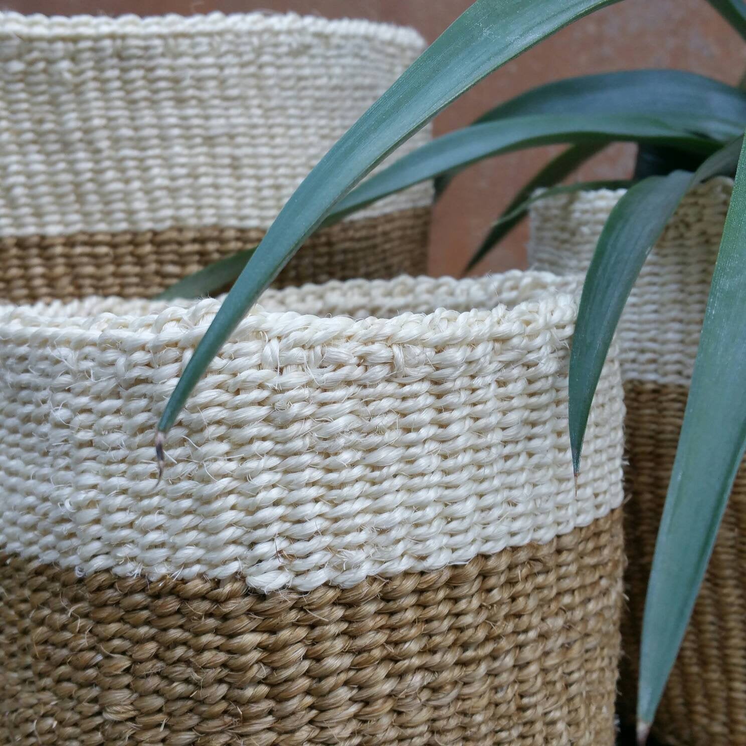 Planting Handwoven Basket